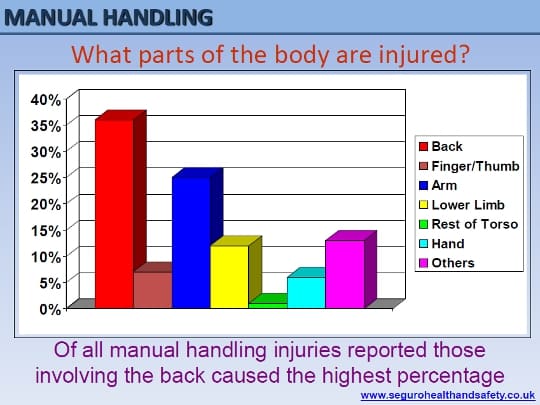 Manual Handling Training Presentation Seguro