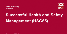 HSG65 Management System