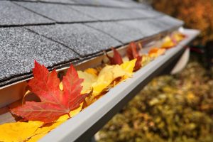 Gutter cleaning