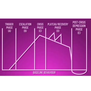 Positive Handling in Schools Training