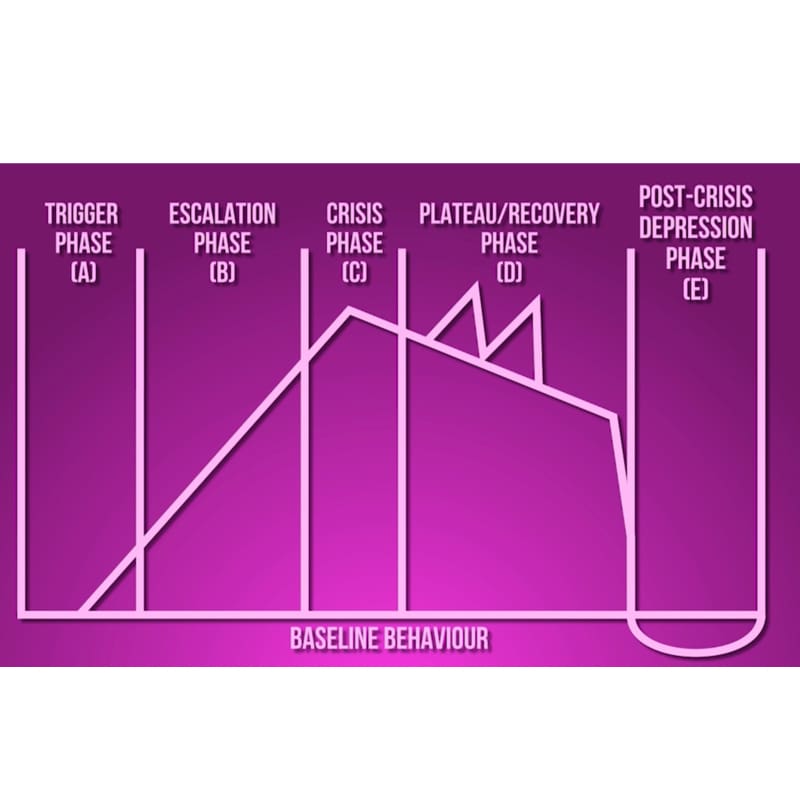 Positive Handling in Schools Training