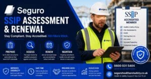 SSIP Assessment and Renewal, SSIP Assessment